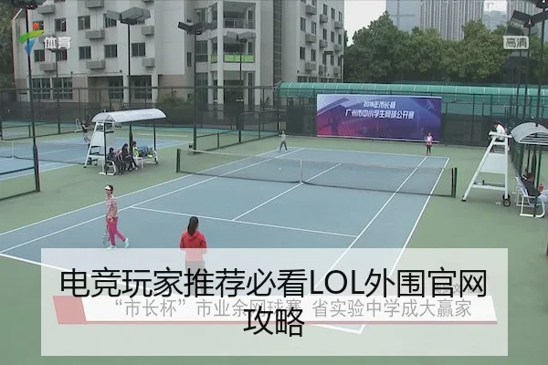 电竞玩家推荐必看LOL外围官网攻略（RayGaming）